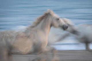 Run