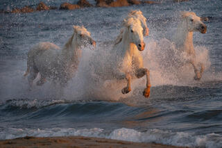 Sprinting