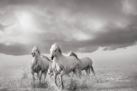 Featured Images